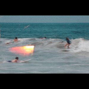 Meet your Posher, Addy